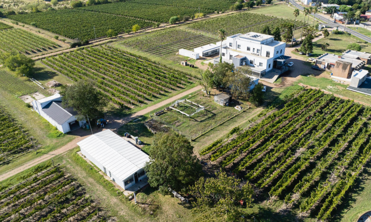 En el peor año agrícola del país, las escuelas agrarias de UTU lograron recaudar más de US$ 1 millón