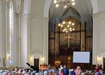 Hablemos de órganos