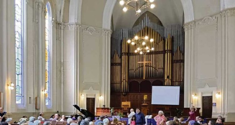 Hablemos de órganos