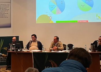 Arroceros ven con preocupación altos costos productivos y de industrialización