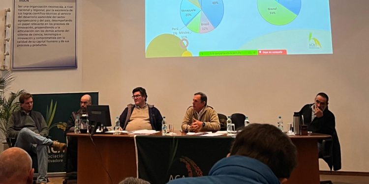 Arroceros ven con preocupación altos costos productivos y de industrialización