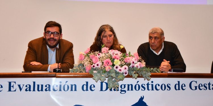Taller de gestación vacuna alcanzó un récord histórico de preñez, del 84,1%