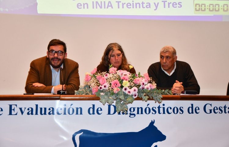 Taller de gestación vacuna alcanzó un récord histórico de preñez, del 84,1%