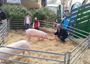 “La faena predial es una manera de poner la casa orden”