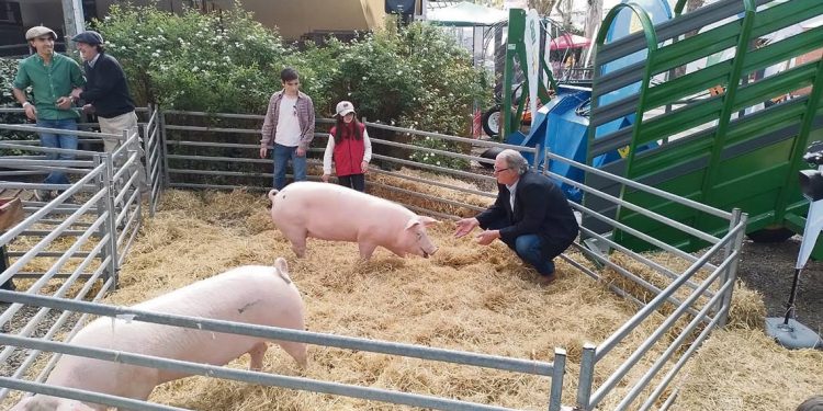 “La faena predial es una manera de poner la casa orden”