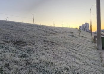 El frío afecta la calidad y los precios de los productos de granja