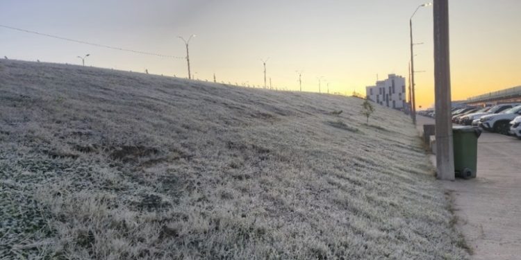 El frío afecta la calidad y los precios de los productos de granja