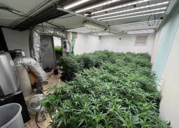 Una vez más, teníamos razón