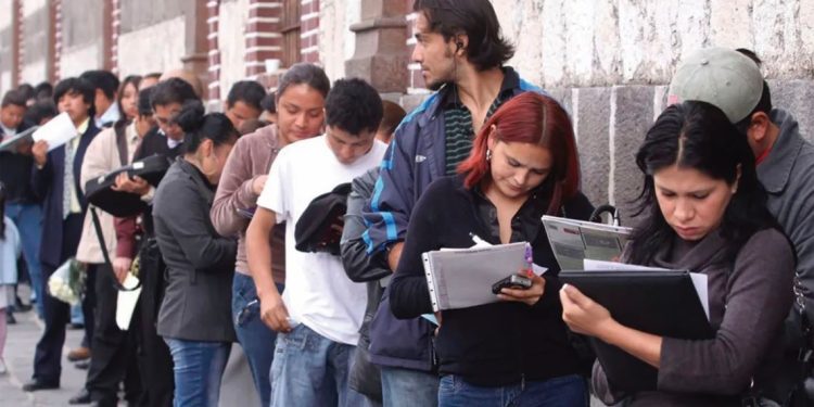 “Hay una demanda de empleo importante, pero a veces no se da donde se necesita”