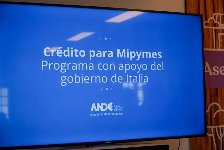 Fue presentado el crédito para mipymes ANDE