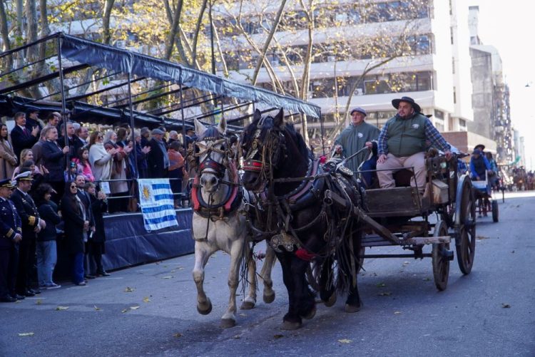Acto por el 194° aniversario de la Jura de la Constitución en imágenes