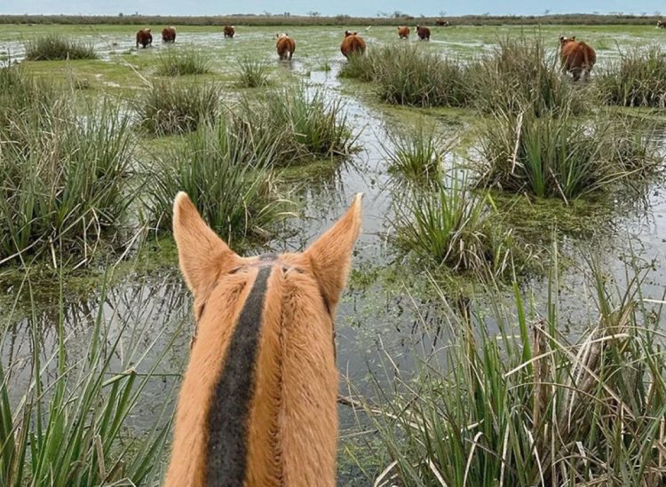Inundaciones rurales al norte de Rocha causan pérdidas millonarias en infraestructura y producción