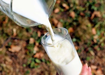 En Fonterra todos los productos perdieron valor, pero no se espera una tendencia bajista