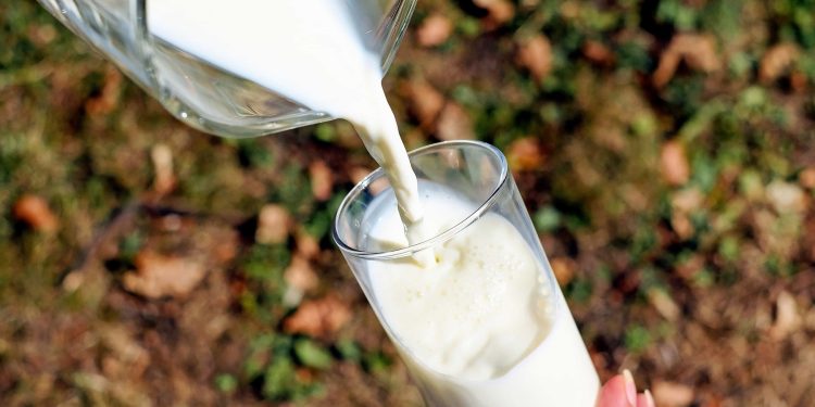 En Fonterra todos los productos perdieron valor, pero no se espera una tendencia bajista