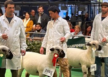Cordera de la escuela agraria de Montes fue reconocida en la Expo Rural argentina