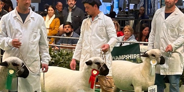 Cordera de la escuela agraria de Montes fue reconocida en la Expo Rural argentina