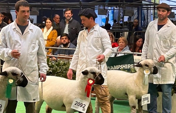 Cordera de la escuela agraria de Montes fue reconocida en la Expo Rural argentina