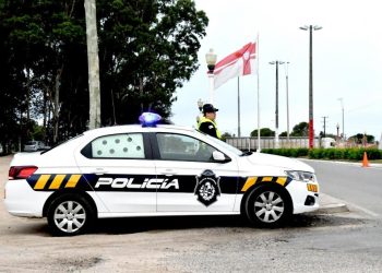 Algunas reflexiones sobre seguridad publica