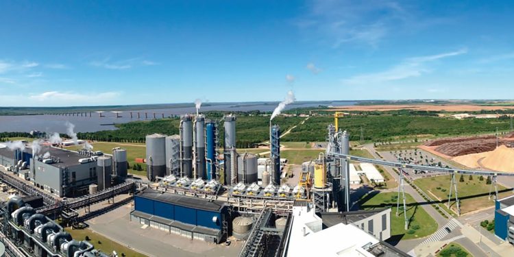“En un año UPM 2 tuvo tres episodios de contaminación y dos veces en el río más importante de Uruguay”