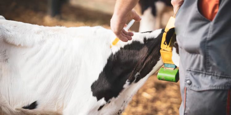 El Colegio de Veterinarios apunta contra la competencia desleal de veterinarios extranjeros