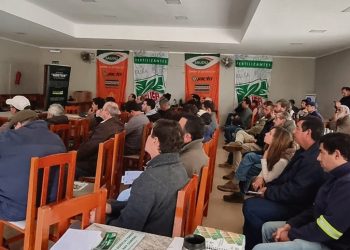 Dispares resultados para la soja y el arroz condicionan las decisiones que toma el productor