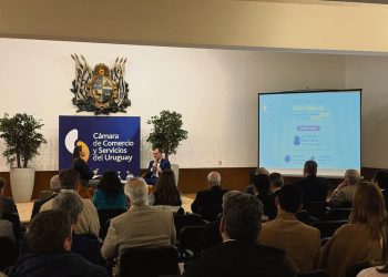 “Las microempresas son las que salen peor paradas frente a este escenario de crecimiento”