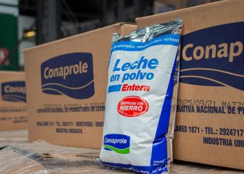 En el año, Uruguay exportó leche en polvo por US$ 287,7 millones