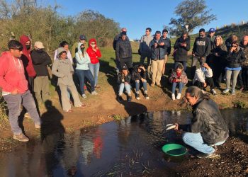 Mipymes ganadoras de los premios ANDE intentarán mejorar sus niveles de comunicación para llegar a sus clientes