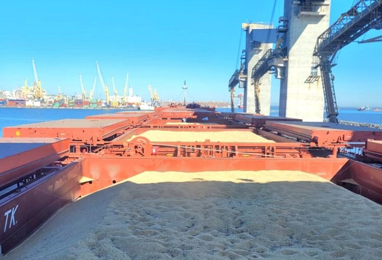 Exportaciones de julio crecieron por cuarto mes consecutivo