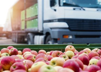 La CHN no tiene las condiciones necearías para que los comerciantes del Mercado Regional Norte puedan trasladarse