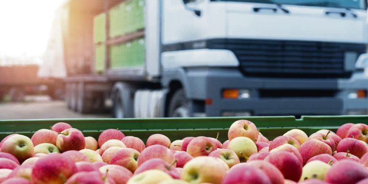 La CHN no tiene las condiciones necearías para que los comerciantes del Mercado Regional Norte puedan trasladarse