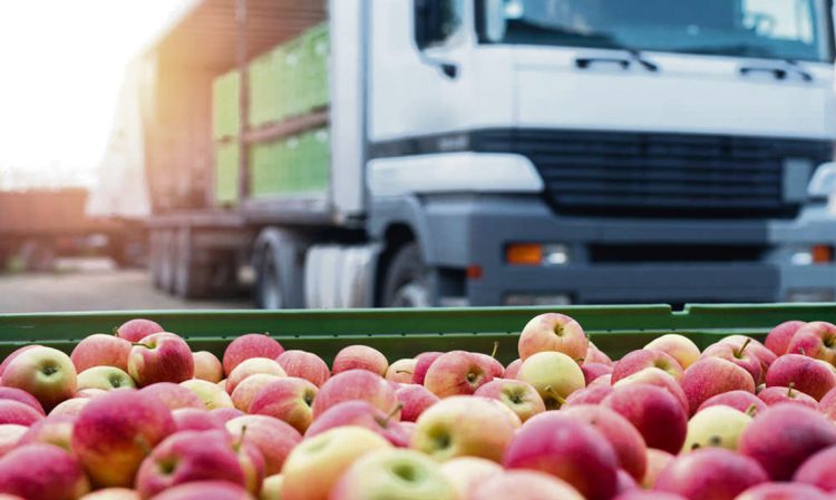 La CHN no tiene las condiciones necearías para que los comerciantes del Mercado Regional Norte puedan trasladarse