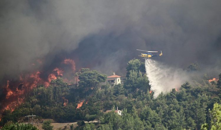 La Semana en el Mundo: 14 de agosto