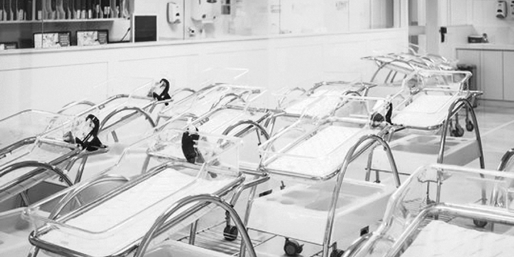 “La baja natalidad es una de las razones de una reforma de la seguridad social”