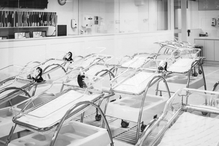 “La baja natalidad es una de las razones de una reforma de la seguridad social”