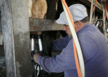 Sueldos rurales se mantienen sin cambios