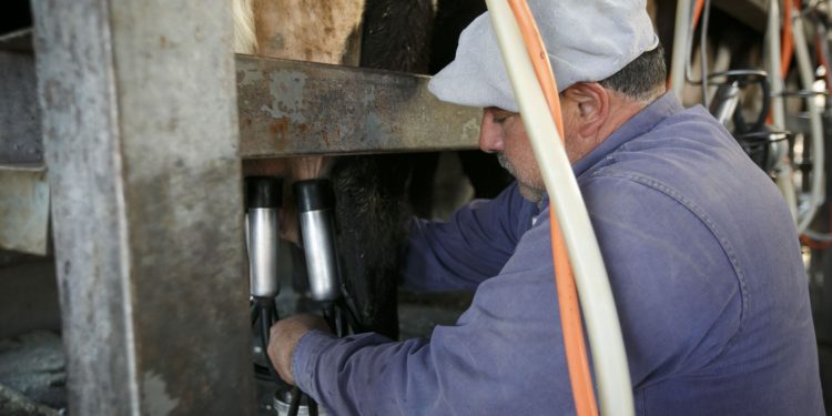 Sueldos rurales se mantienen sin cambios