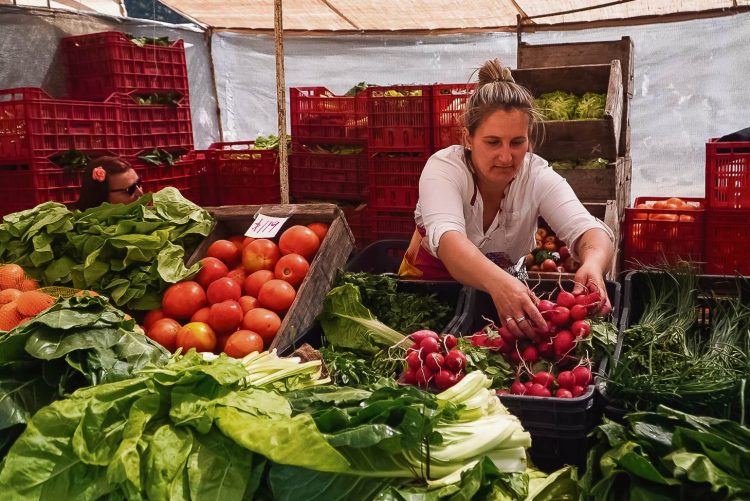 Fiesta de la Chacra reunió cientos de historias llenas de tradiciones en San Jacinto