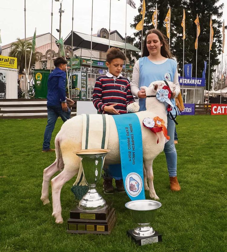 Expo Prado: un clásico que se renueva