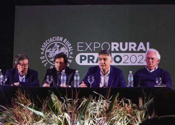 Cuatro cuestiones sobre el futuro del agro de cara a las elecciones de octubre