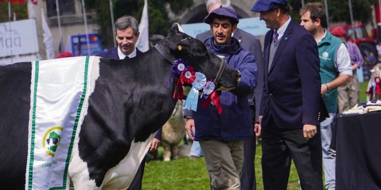 “La sociedad debe pensar qué país queremos”, porque “el agro es la fuente de alimentos y riqueza”