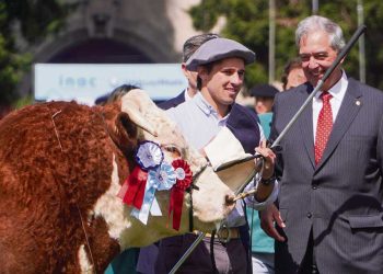 “El valor del dólar preocupa, pero no es el único factor de competitividad”