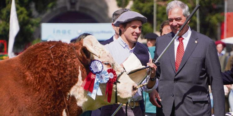 “El valor del dólar preocupa, pero no es el único factor de competitividad”