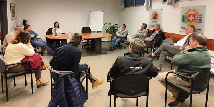 La falta de competitividad atenta contra el relevo generacional