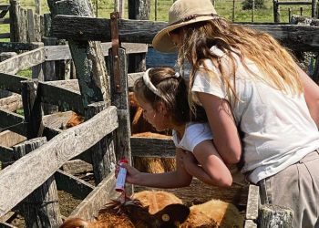 “Tenemos que plantar nuestra semillita como mujeres innovadoras en el rubro”