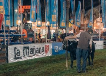 Con una agenda para todos los públicos y gustos, comienza Expo Prado