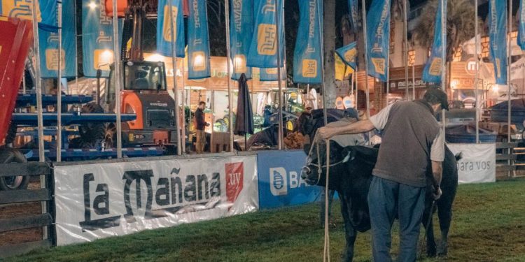 Con una agenda para todos los públicos y gustos, comienza Expo Prado