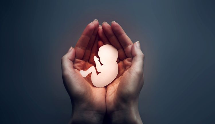 106.631 muertes, más una