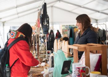 Las mipymes generan casi el 68% del empleo y son el 99,5% de las empresas registradas