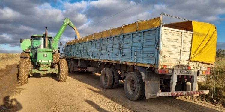 “Los contratistas somos parte de la cadena productiva y todo lo que pasa en el sector incide”